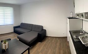 Apartment In Maribor